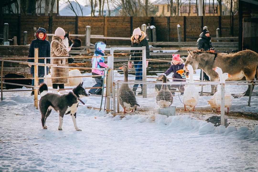 Экоферма «Деревенька»