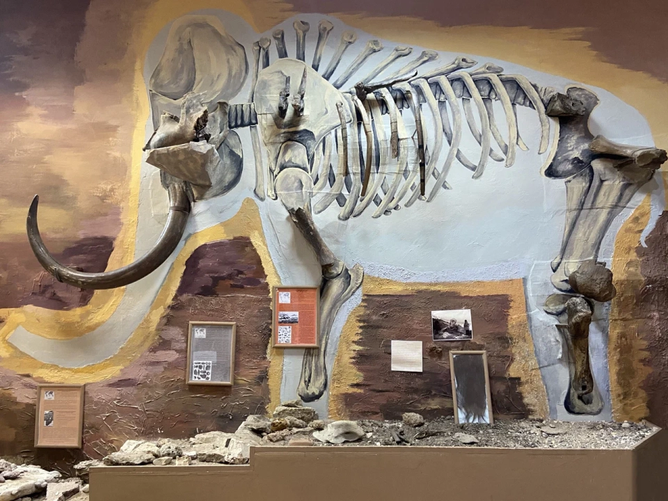 Музей природы