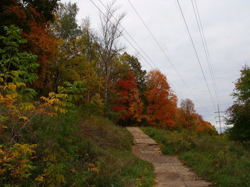 Парк «Ботаника»