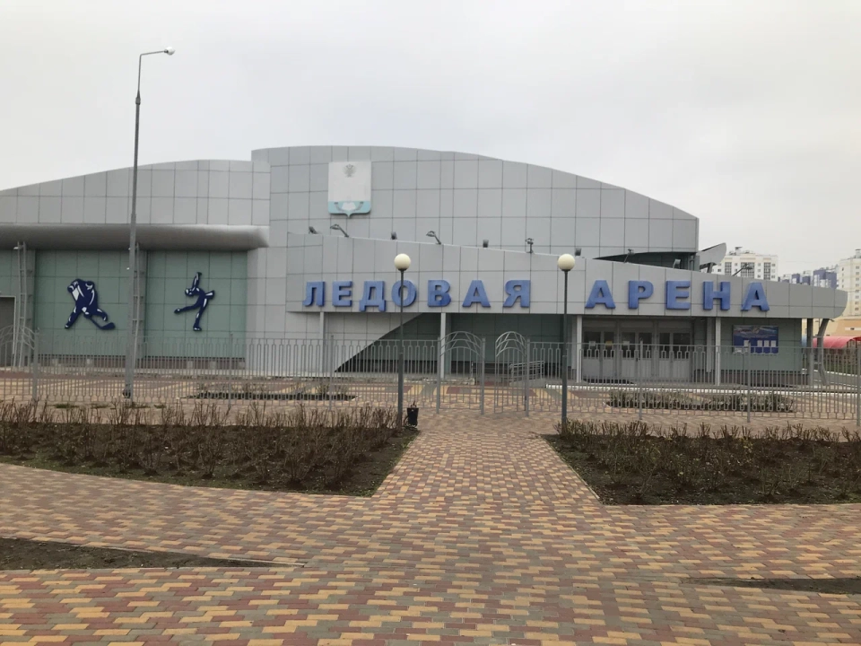 Ледовое поколение