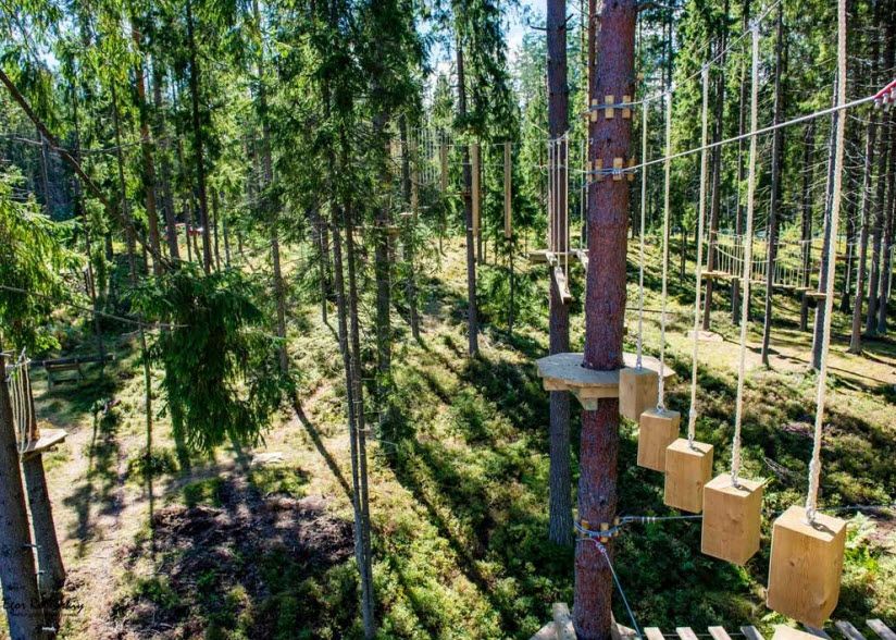Веревочный парк «PARKWOOD’S»