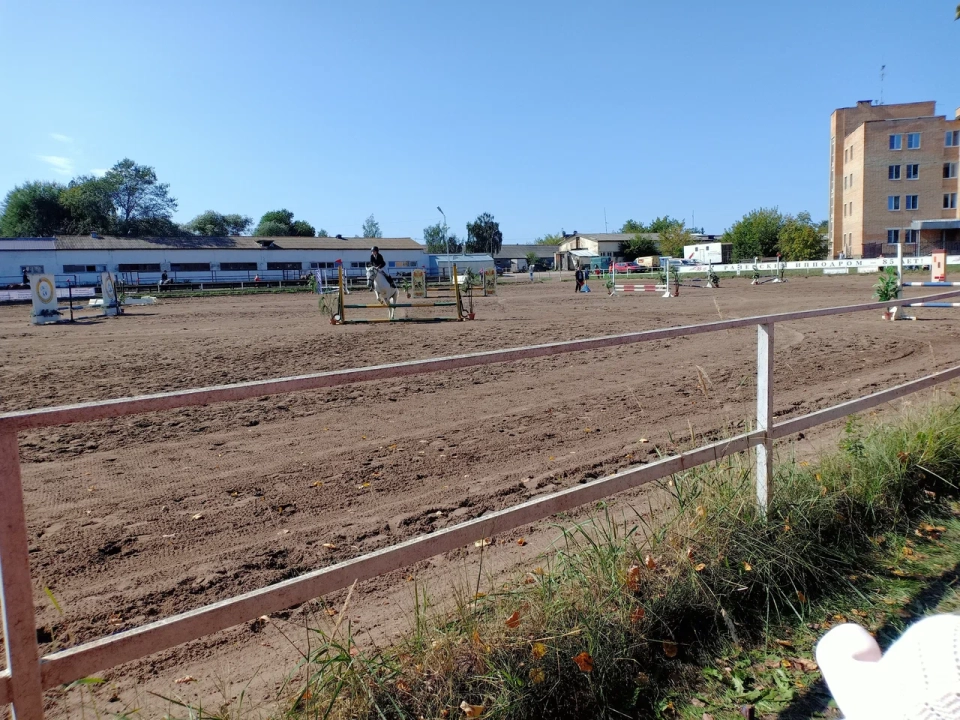 Раменский ипподром