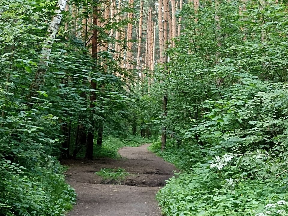 Лесопарк «Восьмидорожье»