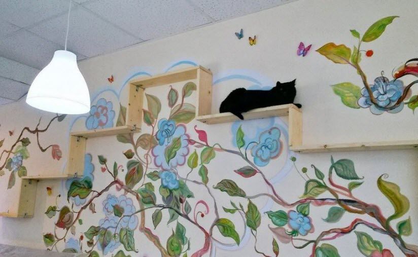 Котокафе «Котейня»