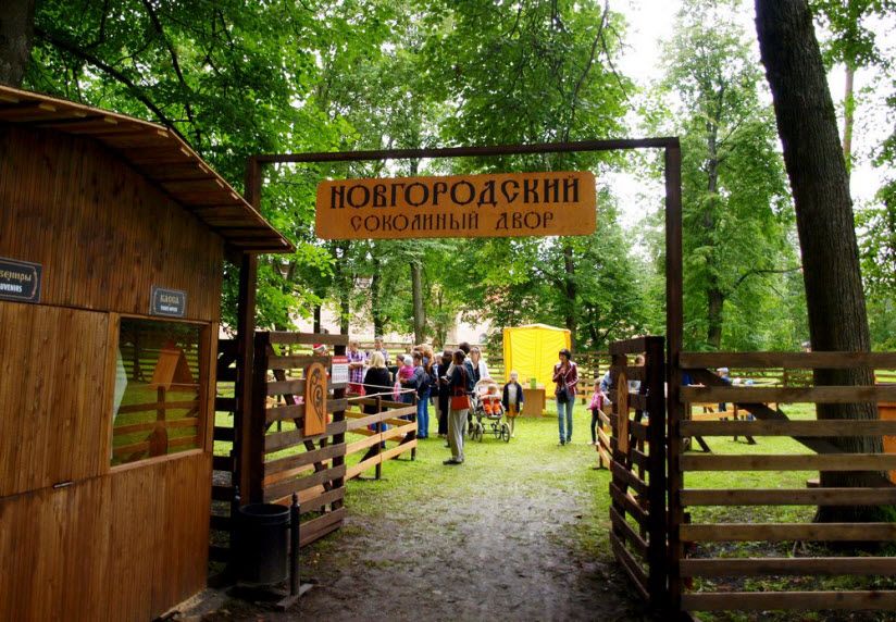 Соколиный двор