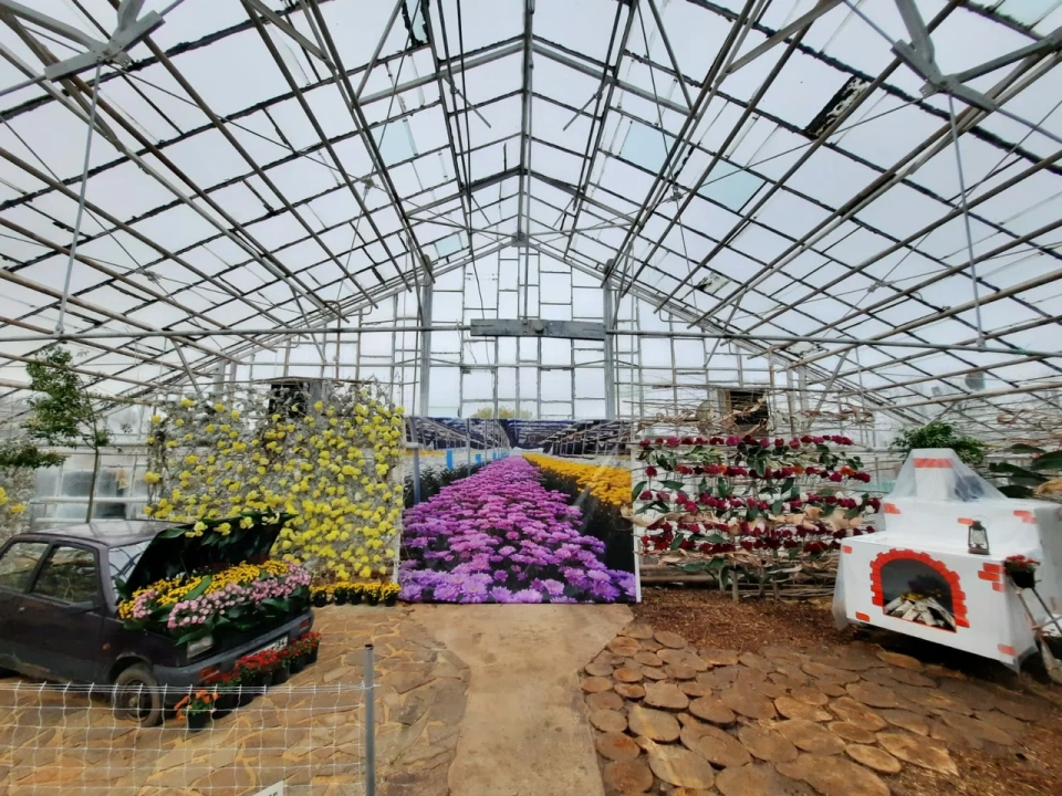 Ботанический сад