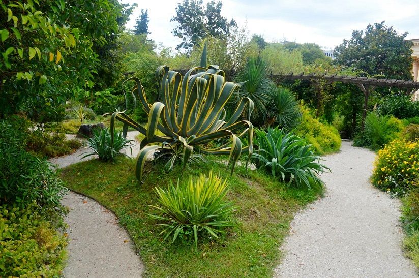 Фитофантазия