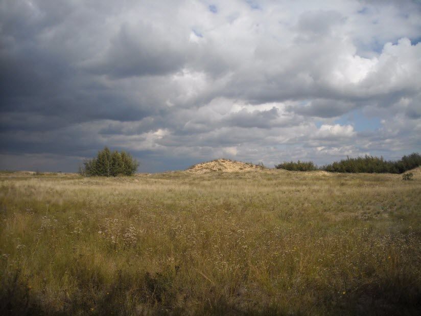 Усть-Медведицкий природный парк