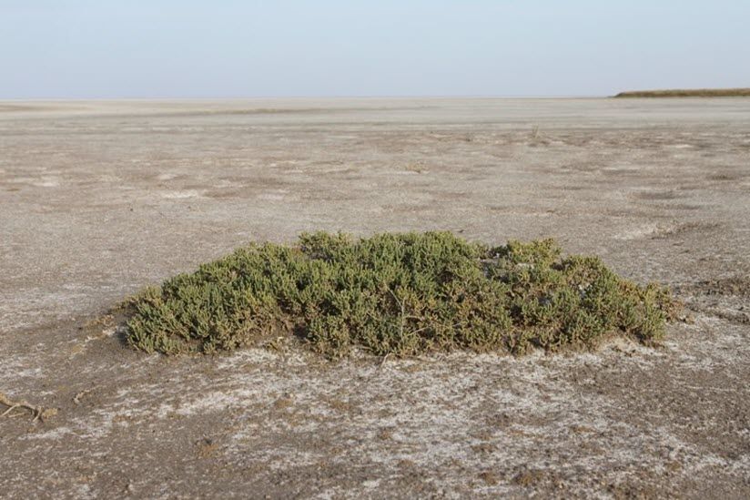 Озеро Боткуль