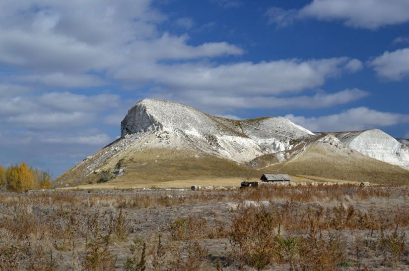 Кобылья голова