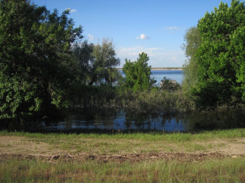 Остров Сарпинский