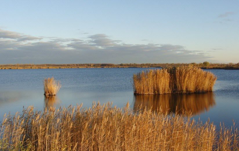 Плавающие острова