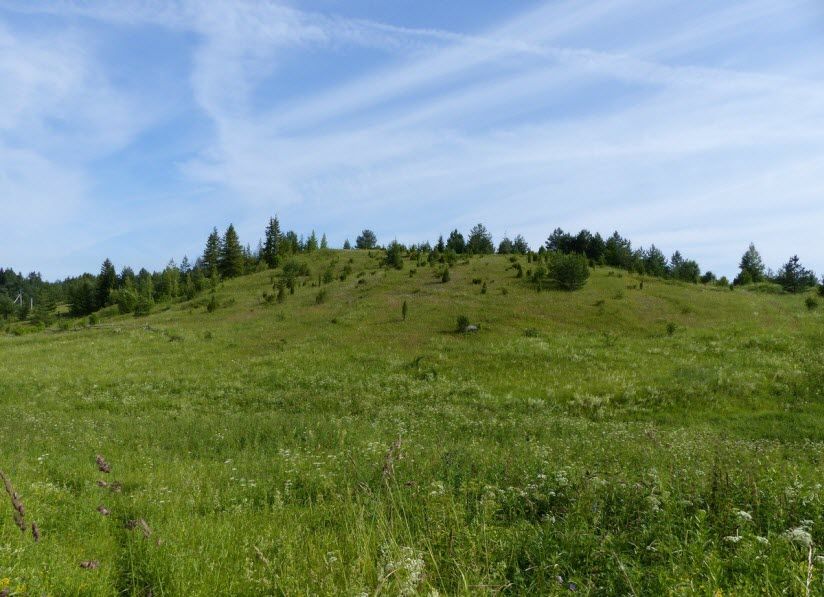 Гора Сандырева