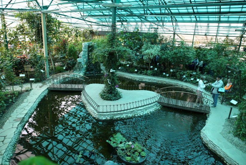 Ботанический сад «Botanikа»