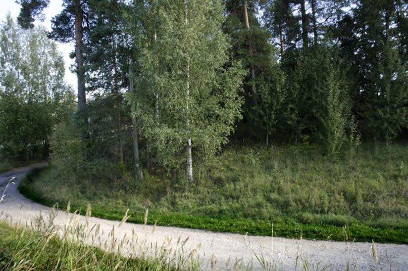 Курганы