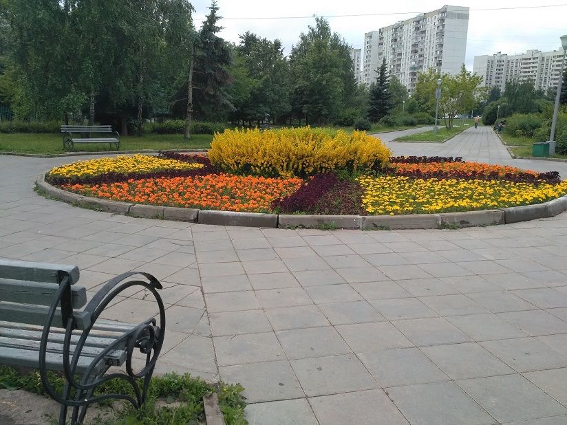 Михайловский пруд