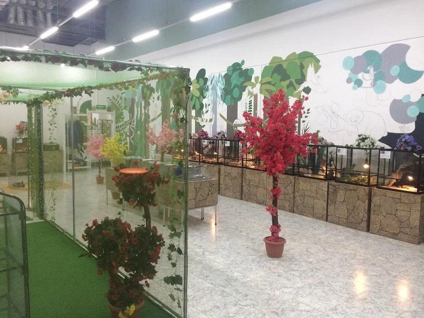 Парк бабочек «Живая планета»