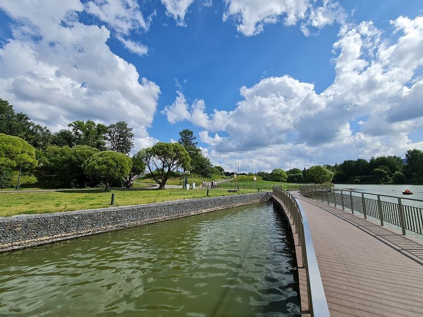 Большой городской пруд