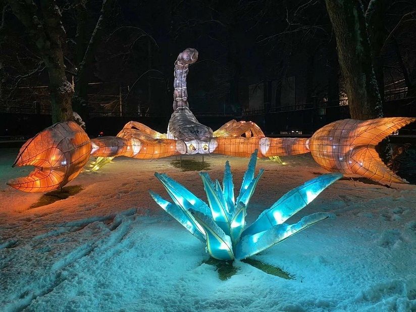 Парк «Макро микро Мир»