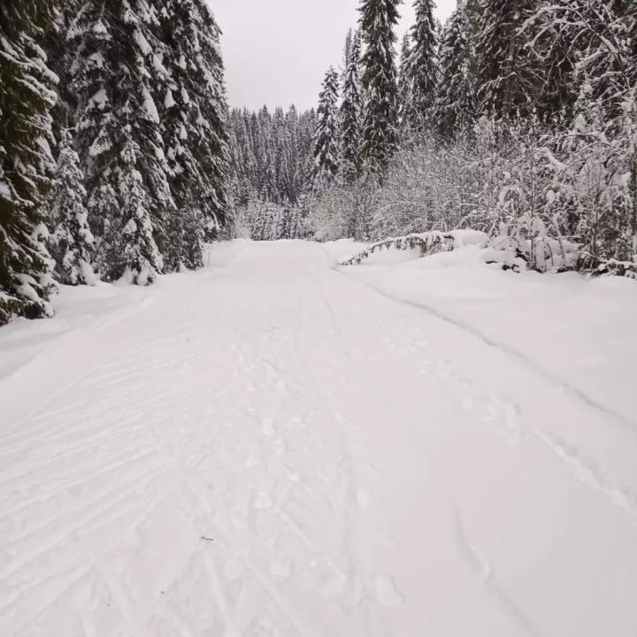 Лыжная база ЗАО ОМЗ