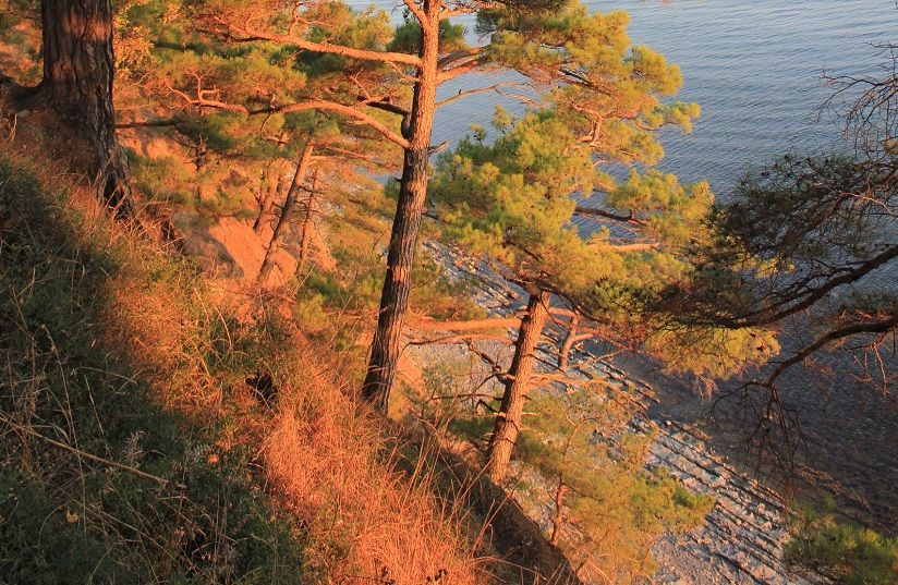 Дикие пляжи Бетты