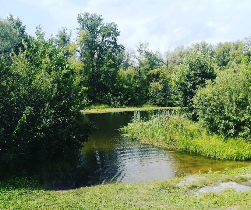 Пляж Ахуны