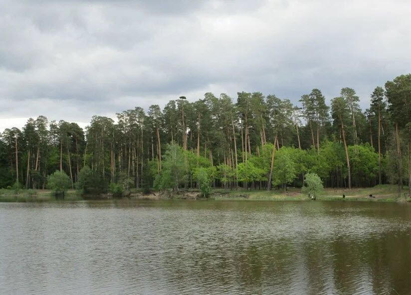 Пляж Вядя
