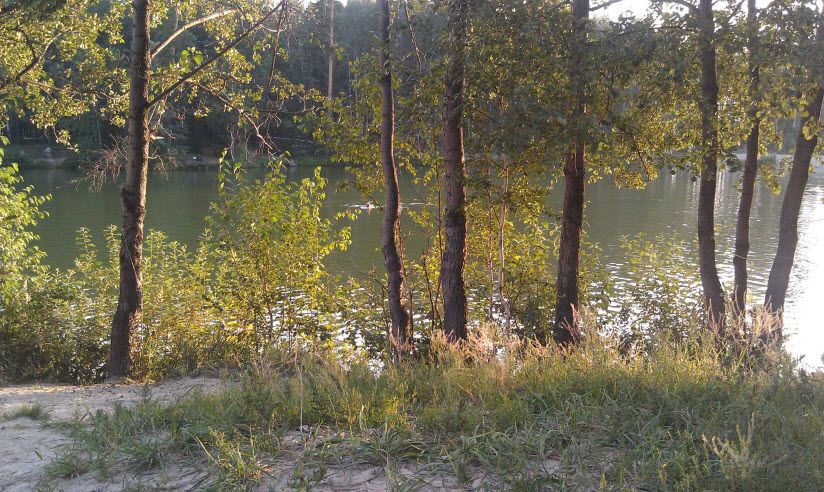 Пляж Лесной