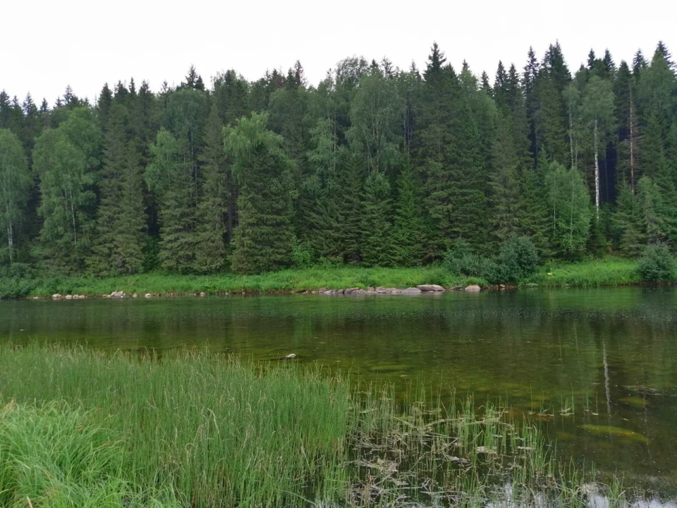 Сухой Лог
