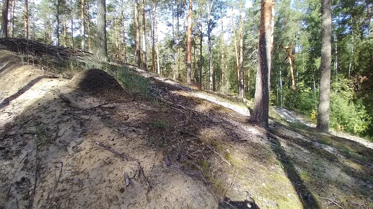 Урочище Чёртовы Бугры