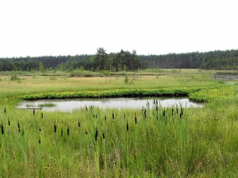 Озеро Медвежка