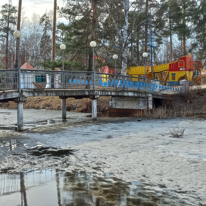 ЦПКиО (Городской парк)