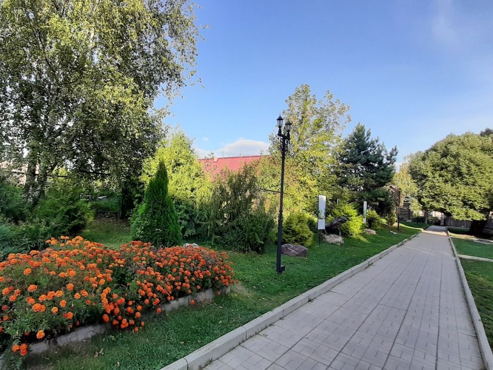 Павловская березовая аллея
