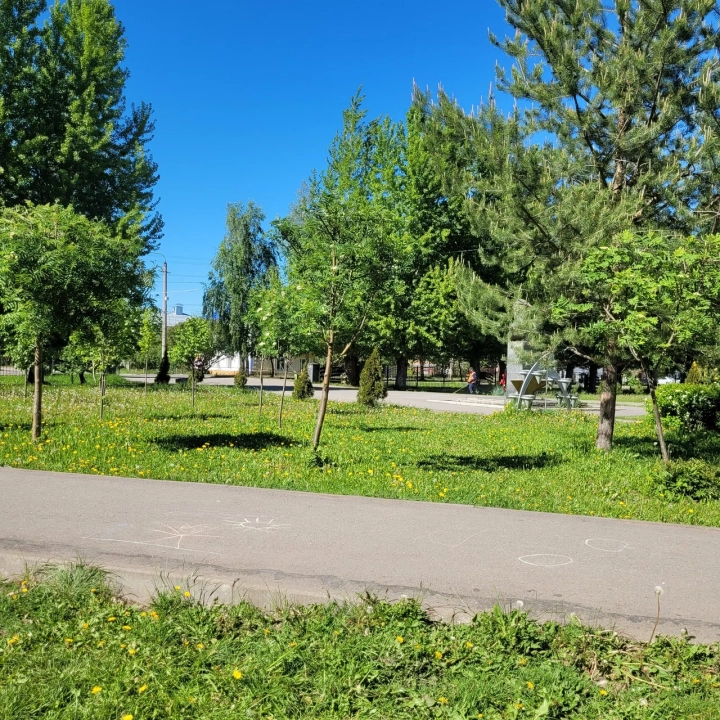 Сквер имени Г.С. Шпагина