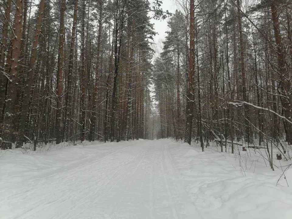 Лыжная база «Белочка»