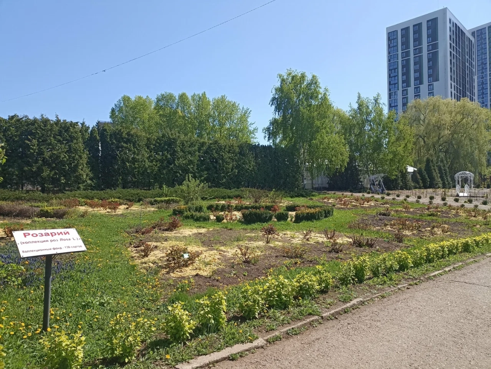 Ботанический сад