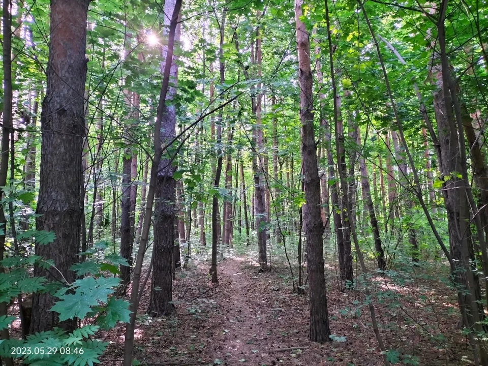 Парк Лесоводов Башкирии