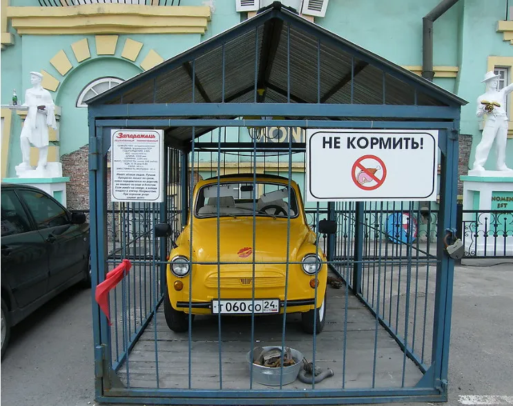 Колорадский папа