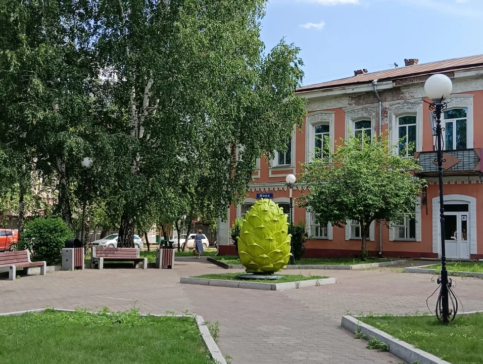 Шишка