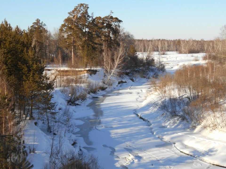 Река Нижний Сузун