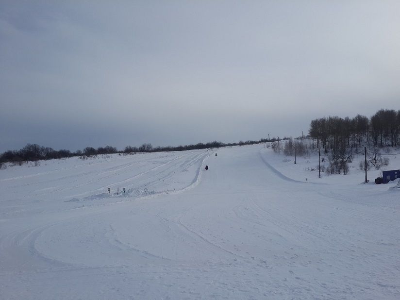 Змеиногорский