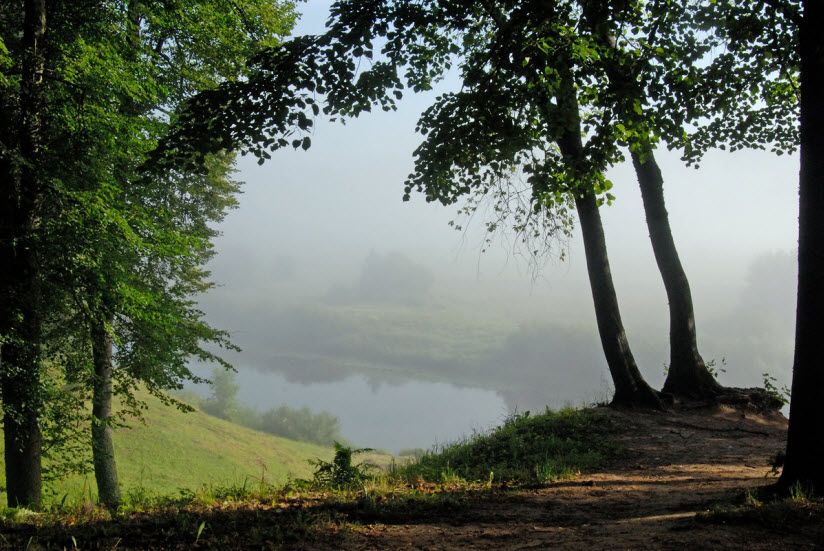 Тригорский парк