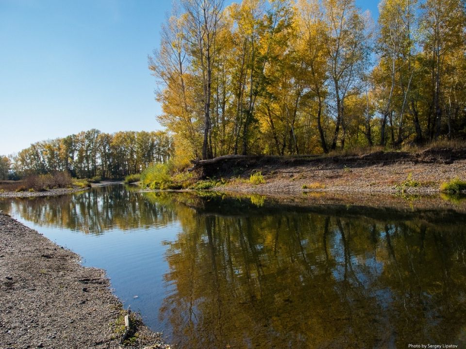 Устье реки Кураган