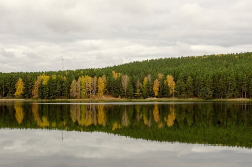 Городской пруд