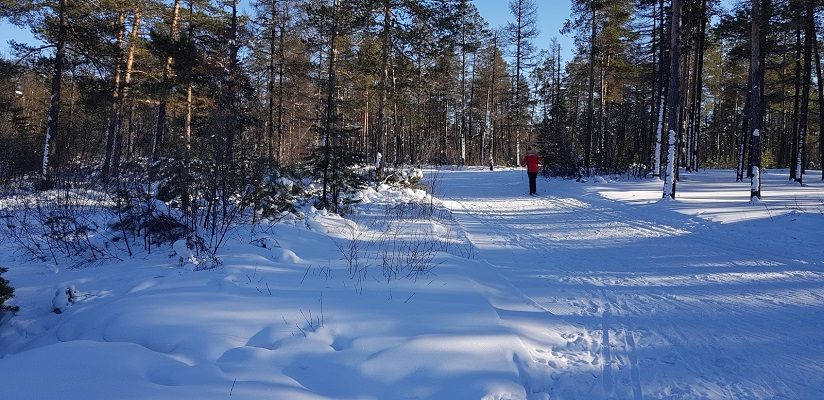 Горнолыжный комплекс «Горизонт»