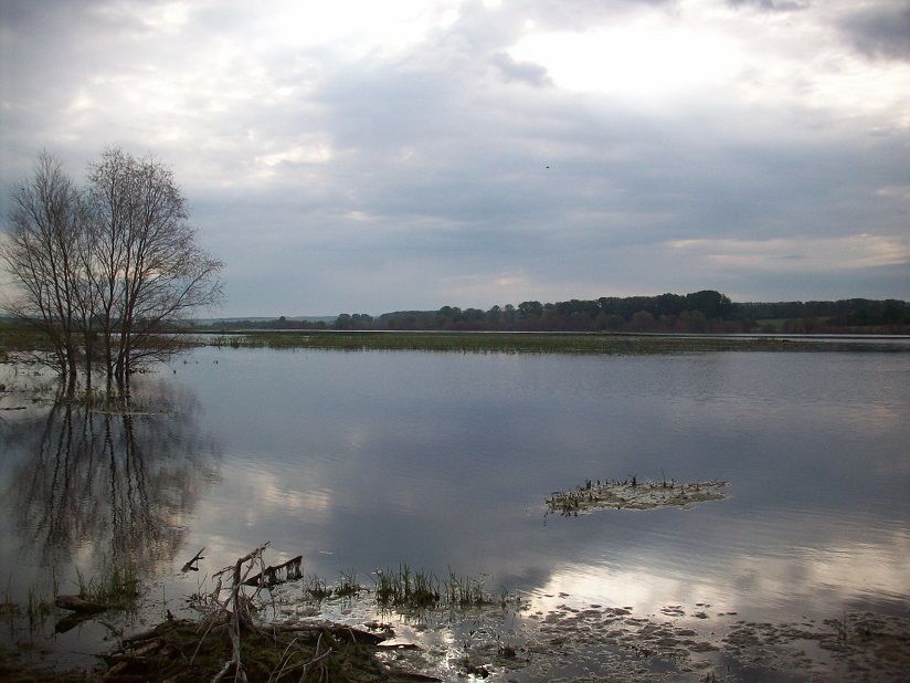 Туймазинское водохранилище