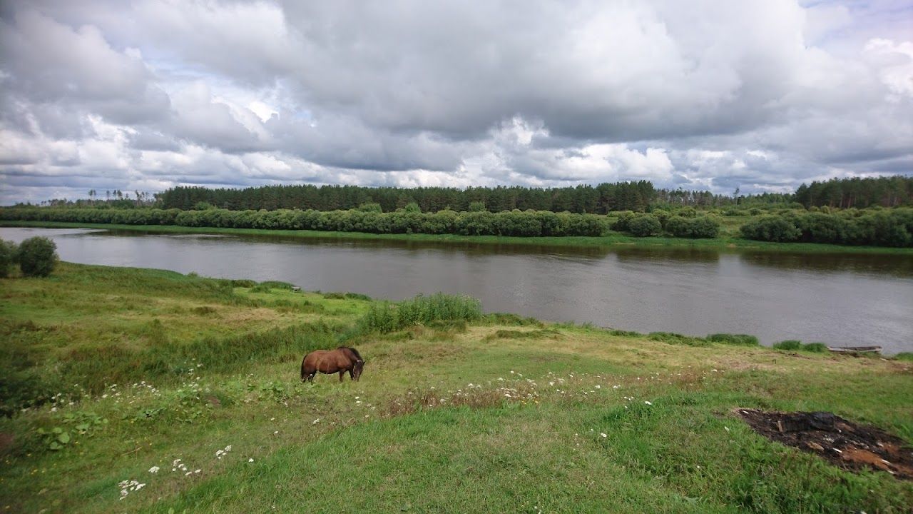 Река Тура