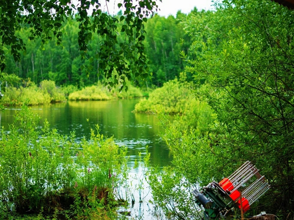 Стрелковый клуб «Арсенал»