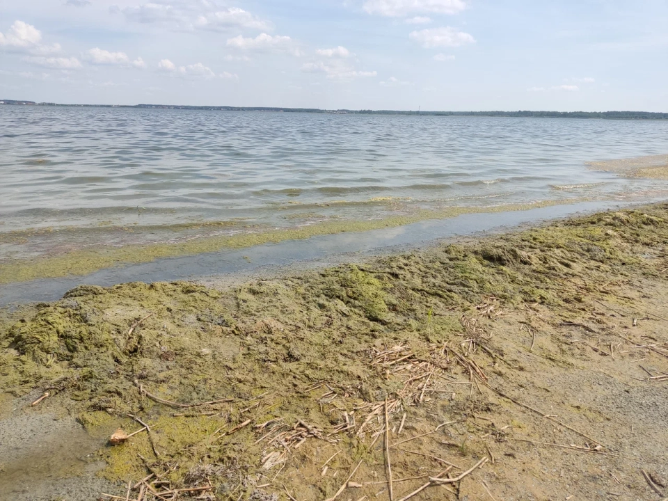 Большой Кременкуль
