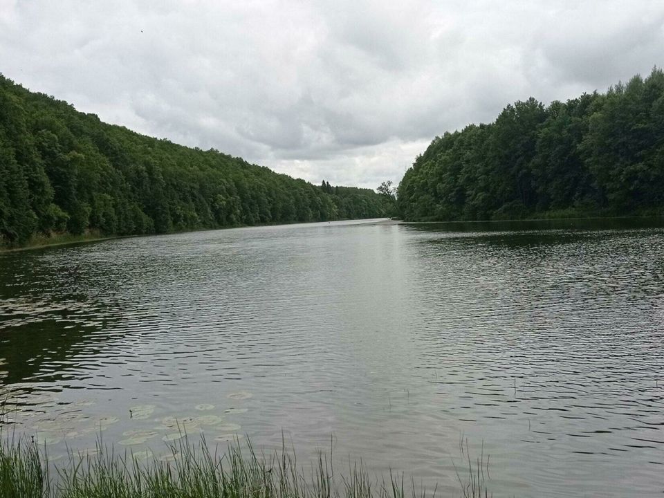 Река Сура